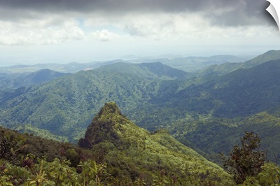 Viewing Los Picachos peak, El Yunque National Forest, Puerto Rico