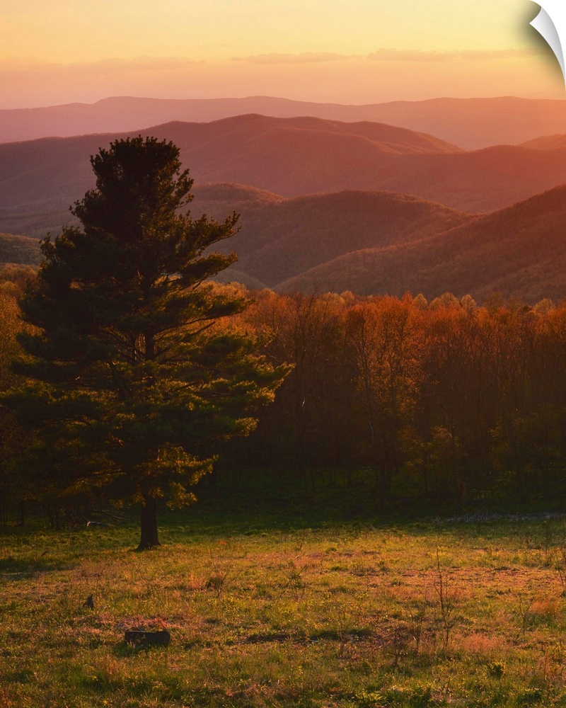 USA, Virginia, Shenandoah National Park, Sunset from Hazeltop Ridge.