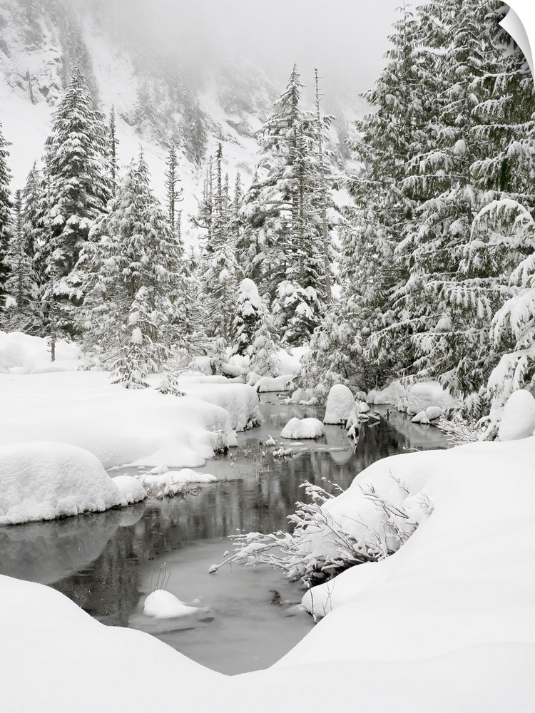 Washington State, Central Cascades, Granite Creek Winter Scene