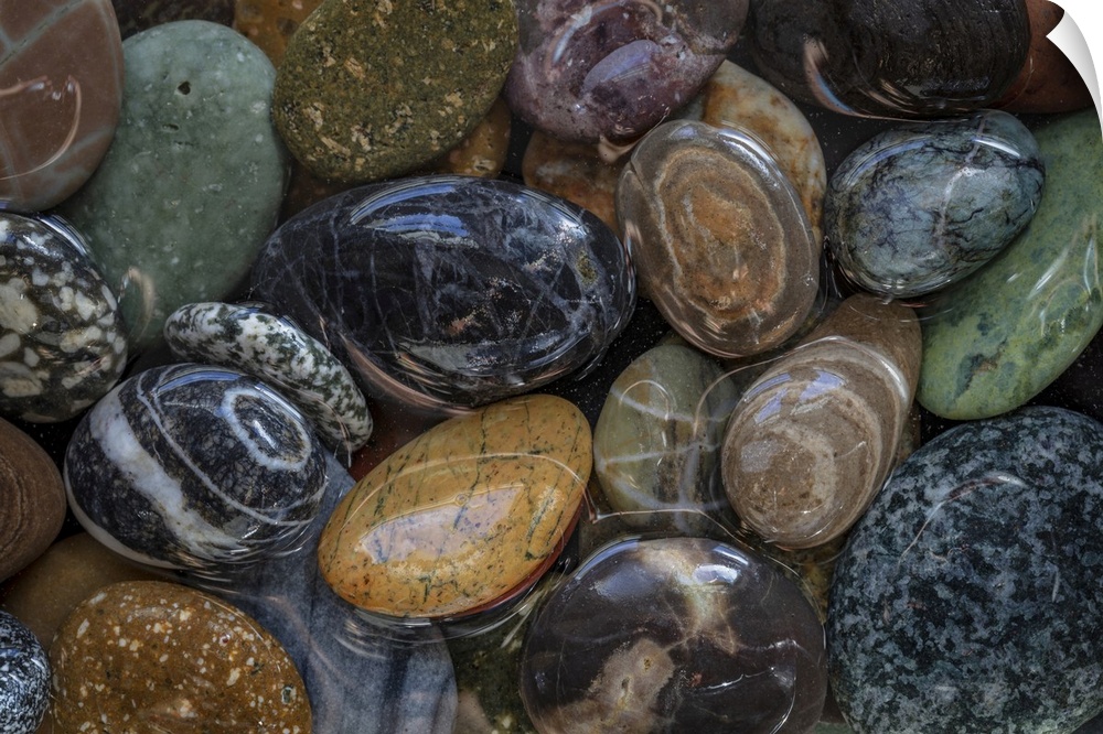 USA, Washington State, Seabeck. Close-up of wet beach stones. Credit: Don Paulson