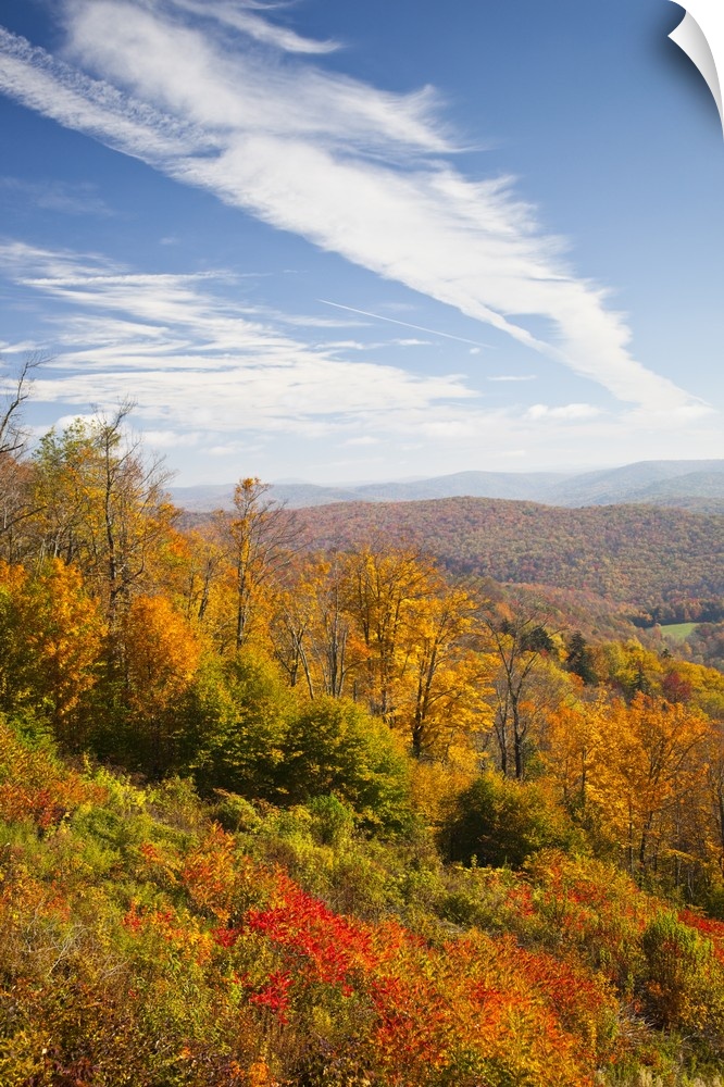 West Virginia, Cheat Bridge, Monongahela National Forest, fall foliage, Route 250.
