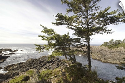 Wild Pacific Trail, Pacific Rim National Park Reserve, Ucluelet, BC, Canada