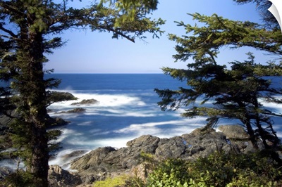Wild Pacific Trail, Ucluelet, Vancouver Island, British Columbia