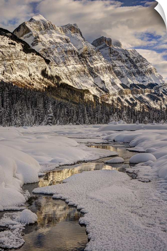 Winter in jasper national park, Alberta, Canada.