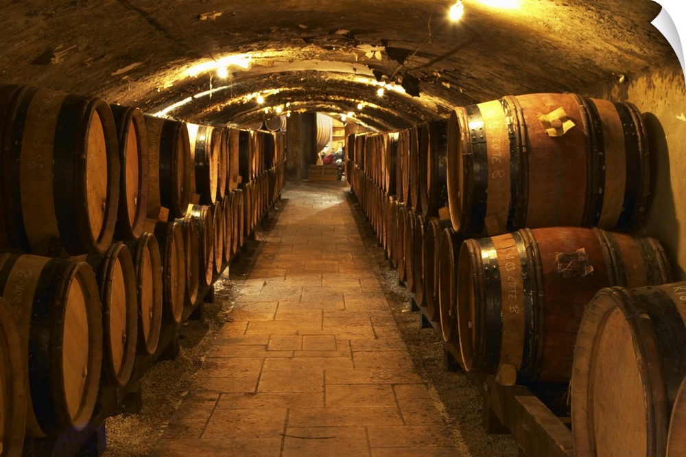 Wooden barrels with aging wine in the cellar of Guigal in Ampuis.  Domaine E Guigal, Ampuis, Cote Rotie, Rhone, France, Eu...