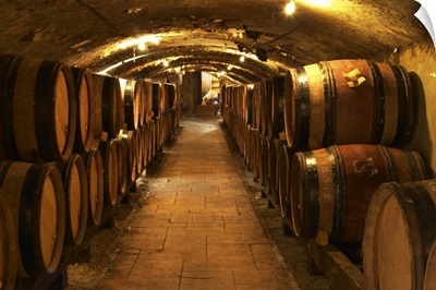 Wooden barrels with aging wine in the cellar of Guigal in Ampuis, Cote Rotie, France