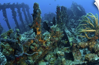 Wreck of the RMS Rhone, iron-hulled steam sailing vessel