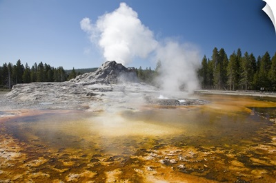 Wyoming, Yellowstone National Park, Crested Pool, colorful bacterial mat
