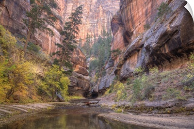 Zion National Park, Left Fork of North Creek, at the Subway