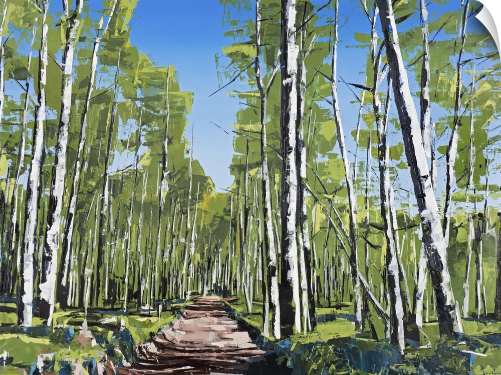 Contemporary painting of a forest with rows of white aspen trees in straight lines.