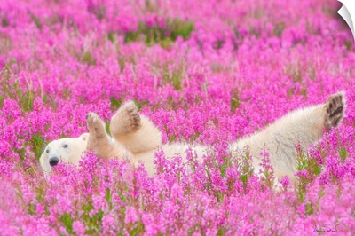 Polar Bear Waving In A Bed Of Fireweed