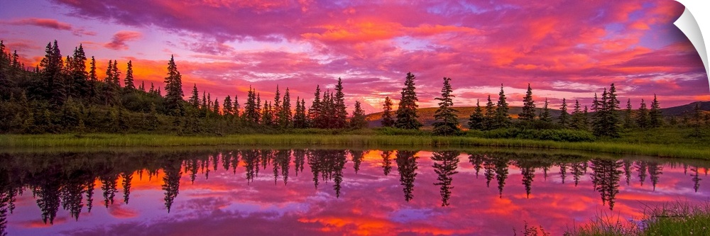 Sunset reflected in Nugget Pond, Denali National Park, Alaska.
