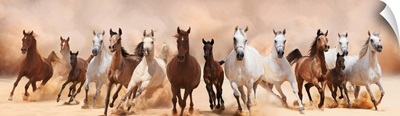 A Herd Of Horses Running On The Sand Storm