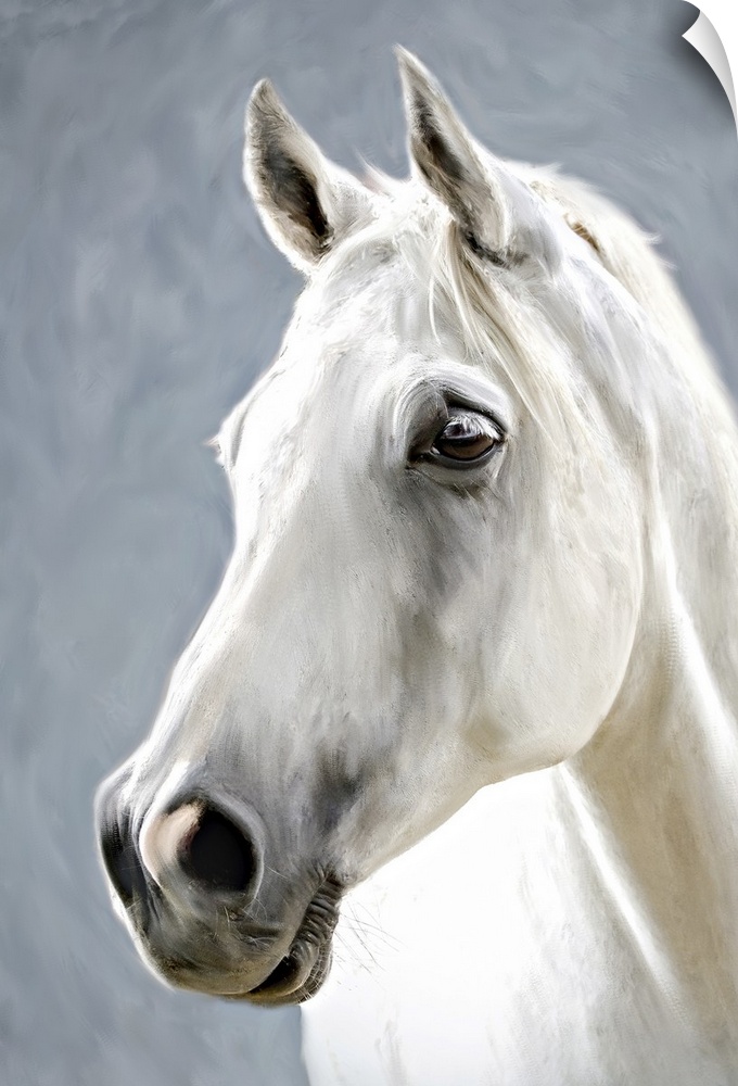 A photograph stylized as painting of a portrait of a white horse.