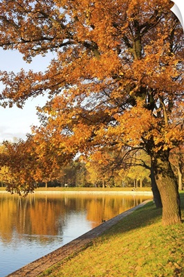 Autumn Park And Lake