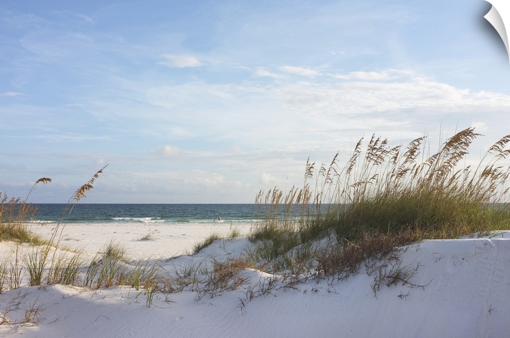 Rosy beach with dunes at sunset in Pensacola, Florida.