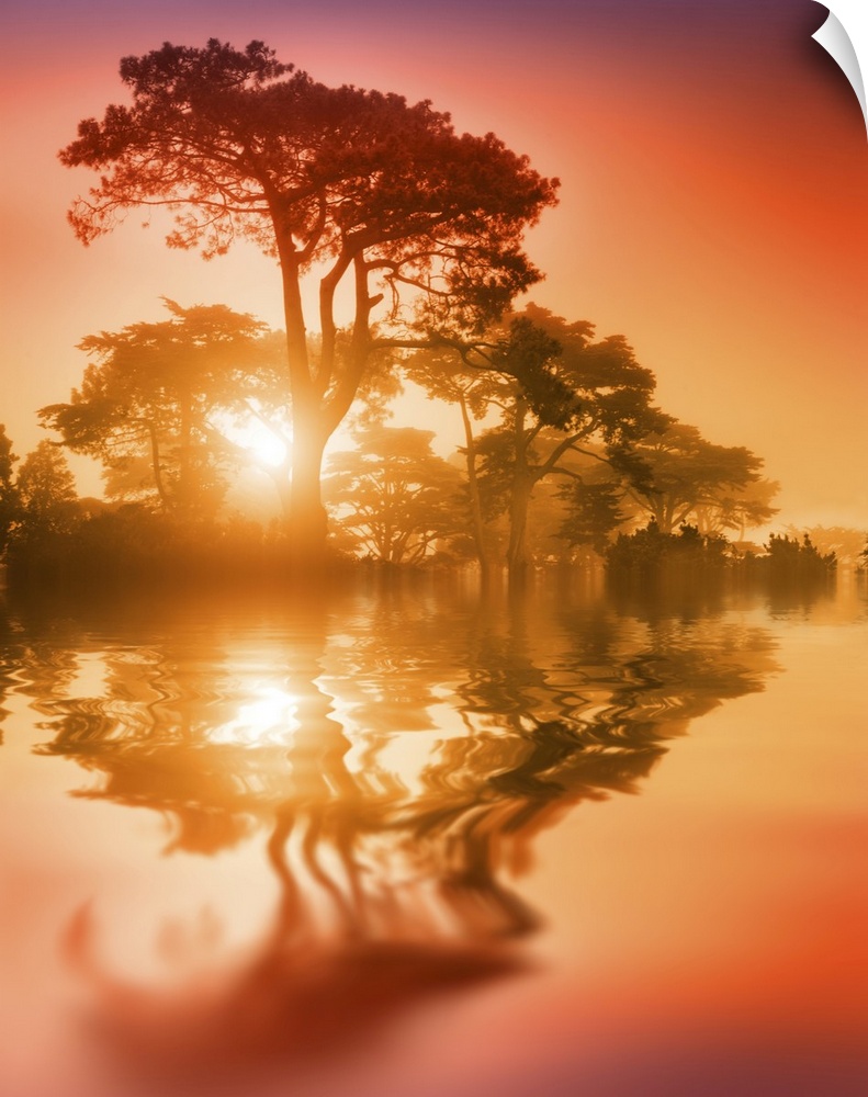 Fantasy scenic trees over lake reflecting in water at sunset. Soft focus.