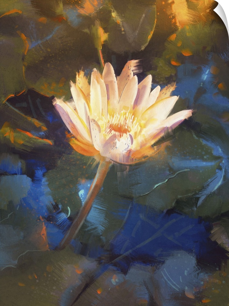 Painting of beautiful yellow lotus blossom, single waterlily flower blooming on pond.