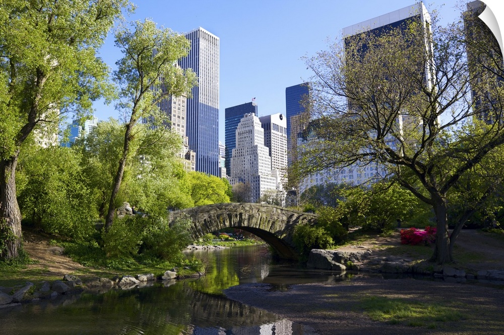Central Park and Manhattan skyline, New York City.