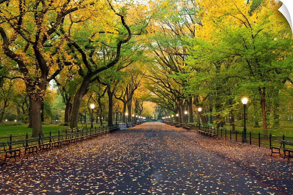 Image of The Mall area in Central Park, New York City in autumn.