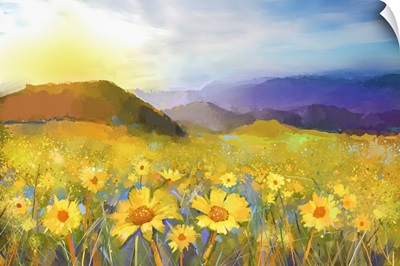 Daisy Flower Blossom, A Rural Sunset Landscape With A Golden Daisy Field