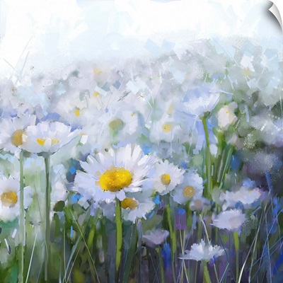 Daisy Flowers, Abstract Flower