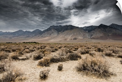 Dark Clouds In Death Valley