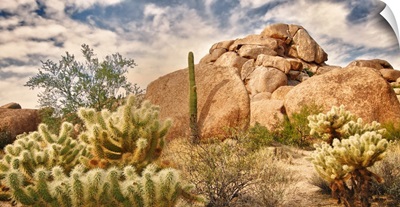 Desert Landscape With Red Rock Buttes