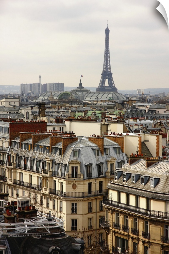 Paris cityscape with Eiffel Tower and Great Palace.