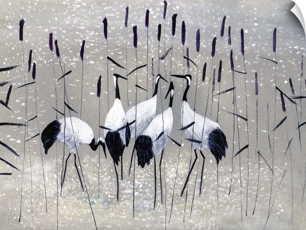 Family of cranes in the reeds.