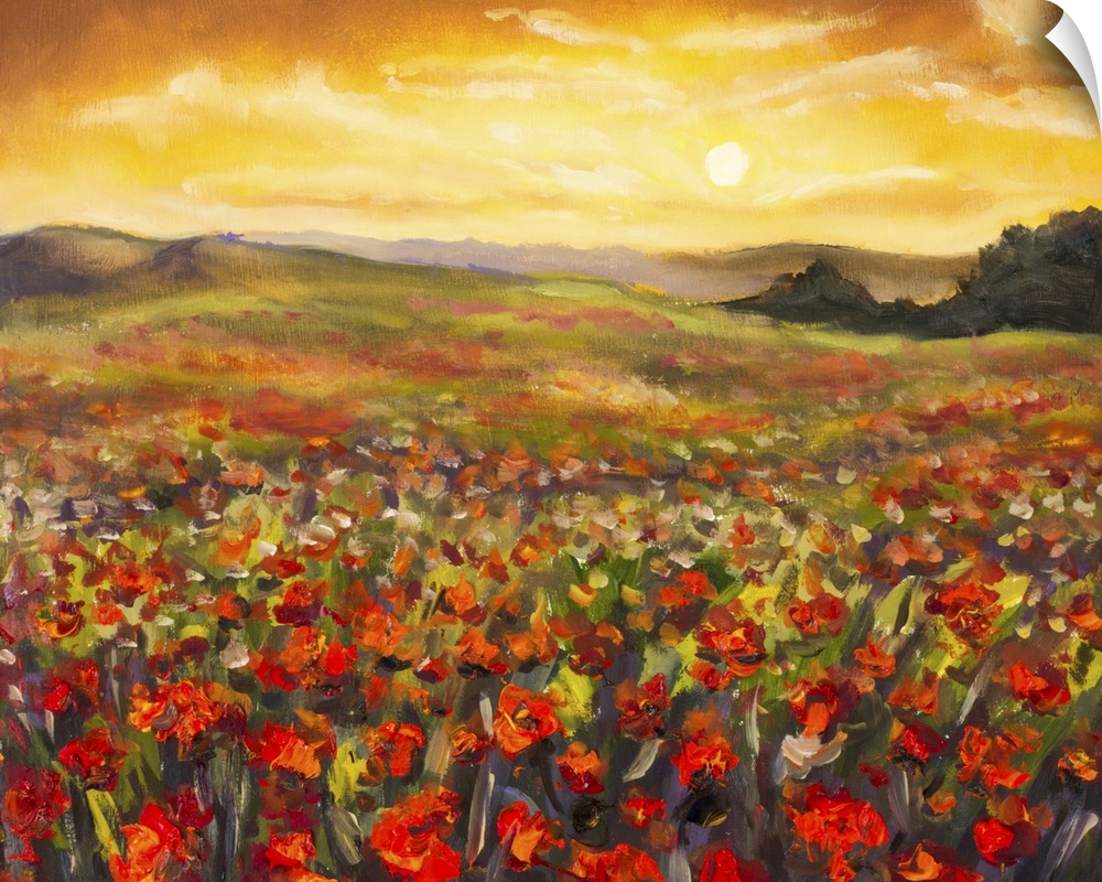 Field Of Red Poppies At Sunset