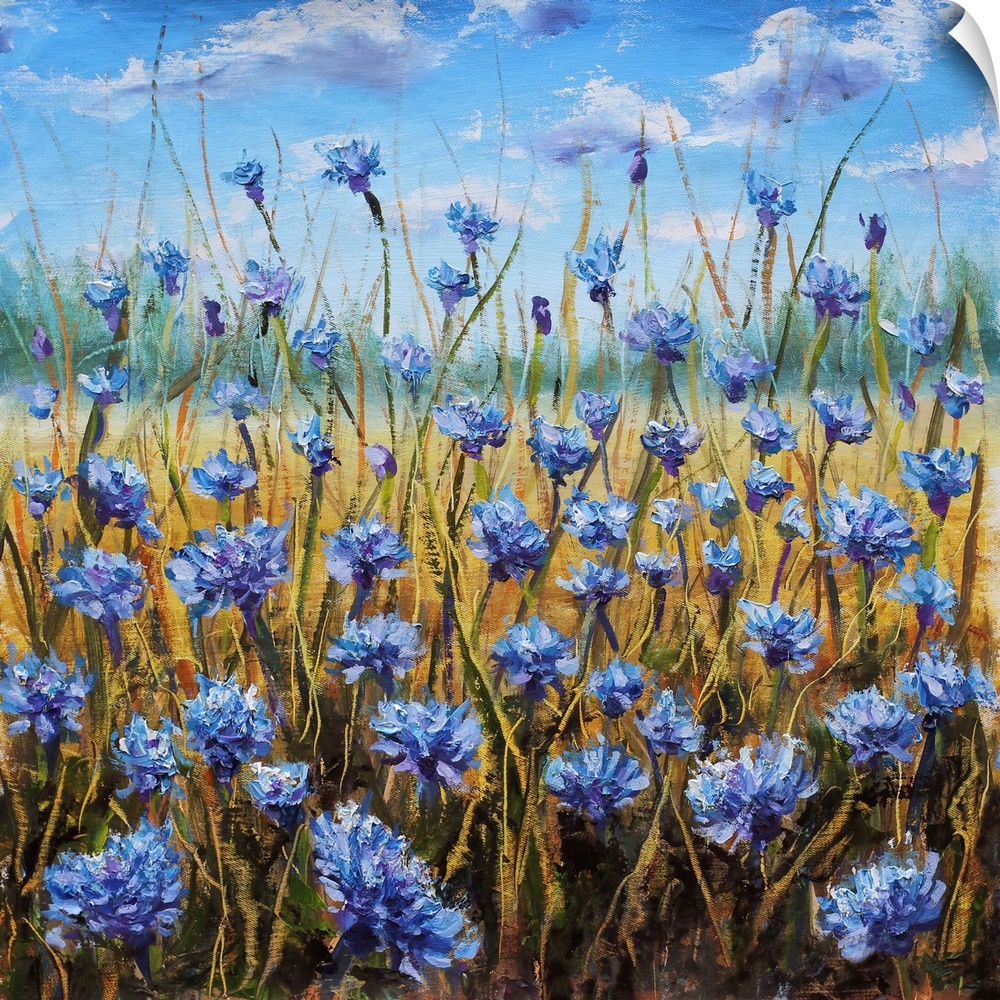 Flower field. Blue flowers in the meadow. Blue sky with white clouds. Green forest in the distance. Originally an oil pain...