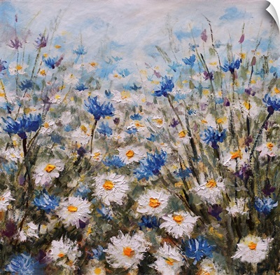 Flowers, Glade Of Cornflowers And Daisies, Summer Flowers