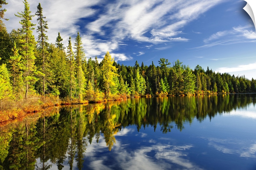 Beautiful forest reflecting on calm lake shore at Algonquin Park, Canada.