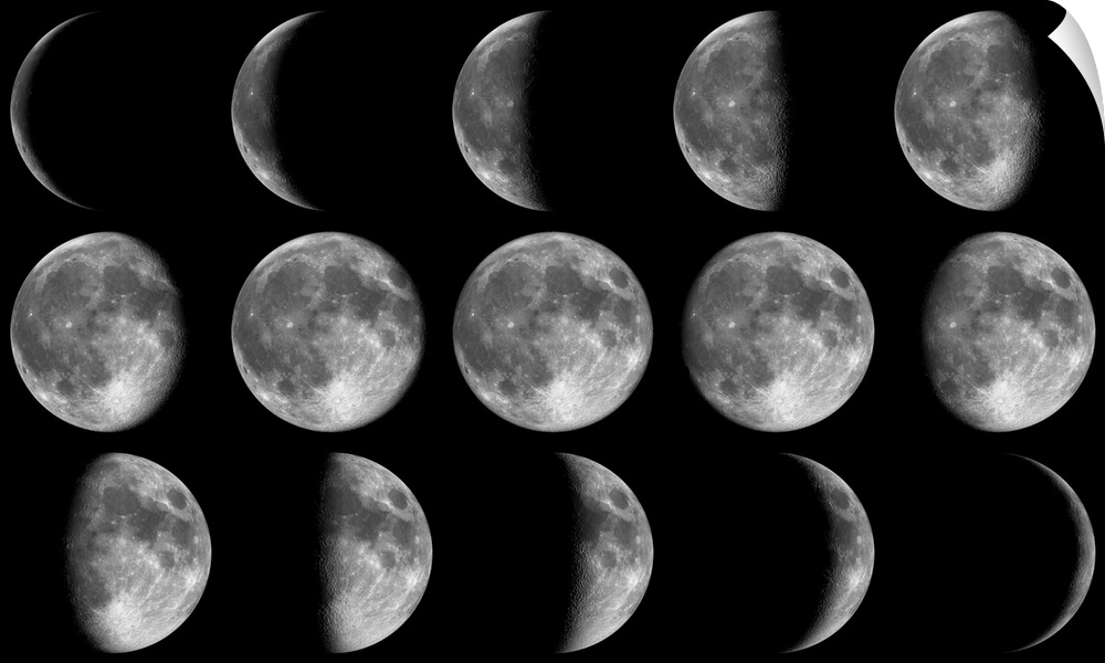 The different phases of our moon during one month.