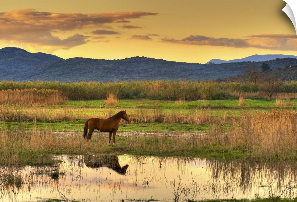 Lone horse in a spectacular late afternoon landscape.