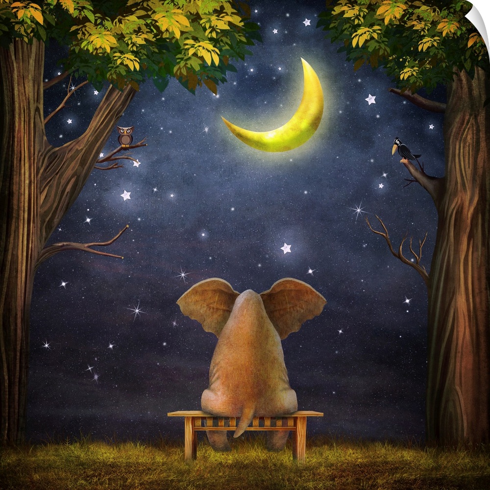 Originally an illustration of a elephant on a bench in the night forest.