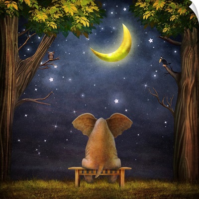 Illustration Of A Elephant On A Bench In The Night Forest