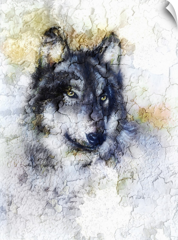 Originally an illustration portrait of a wolf, crackle background.