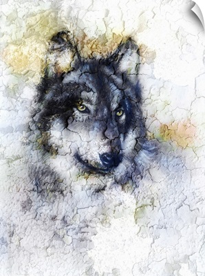 Illustration Portrait Of A Wolf, Crackle Background