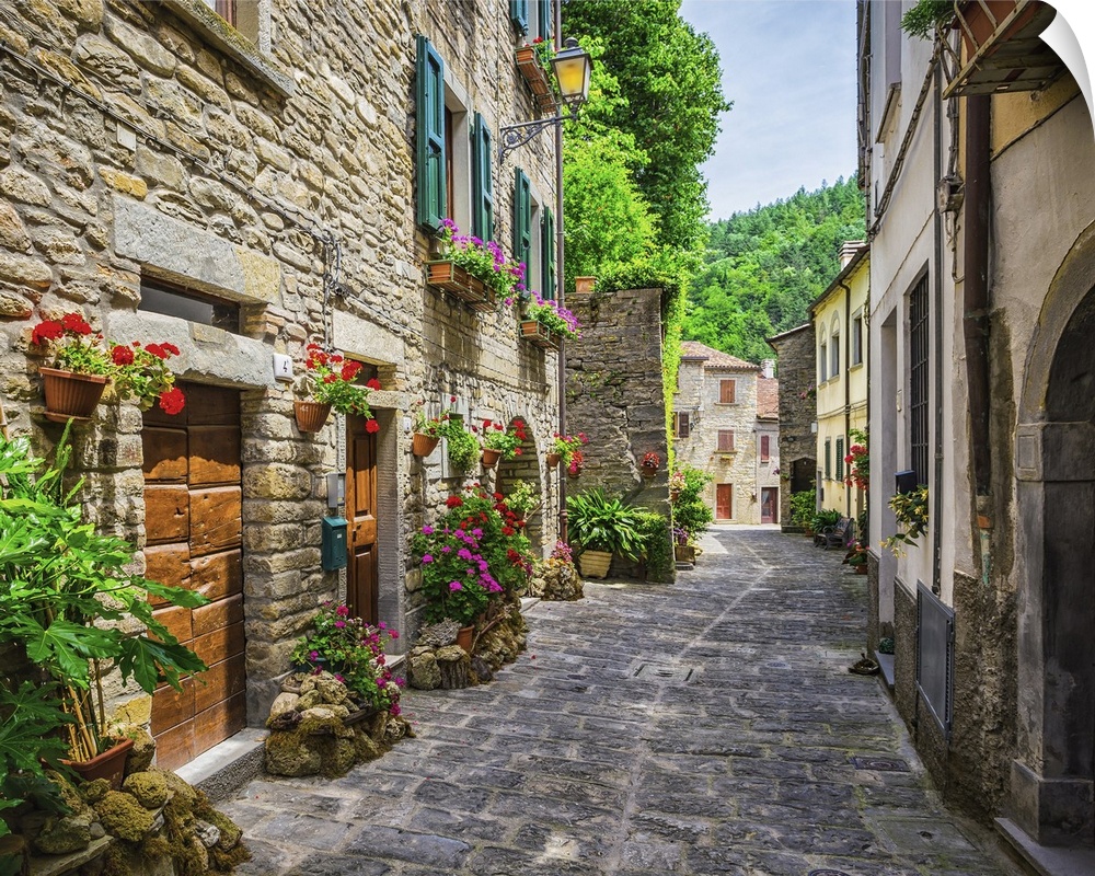 Typical Italian street in a small provincial town of Tuscan, Italy, Europe.
