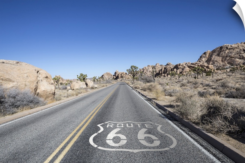 Joshua tree highway with route 66 pavement sign in Californiaos Mojave desert.