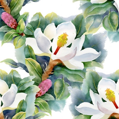 Magnolias Pattern