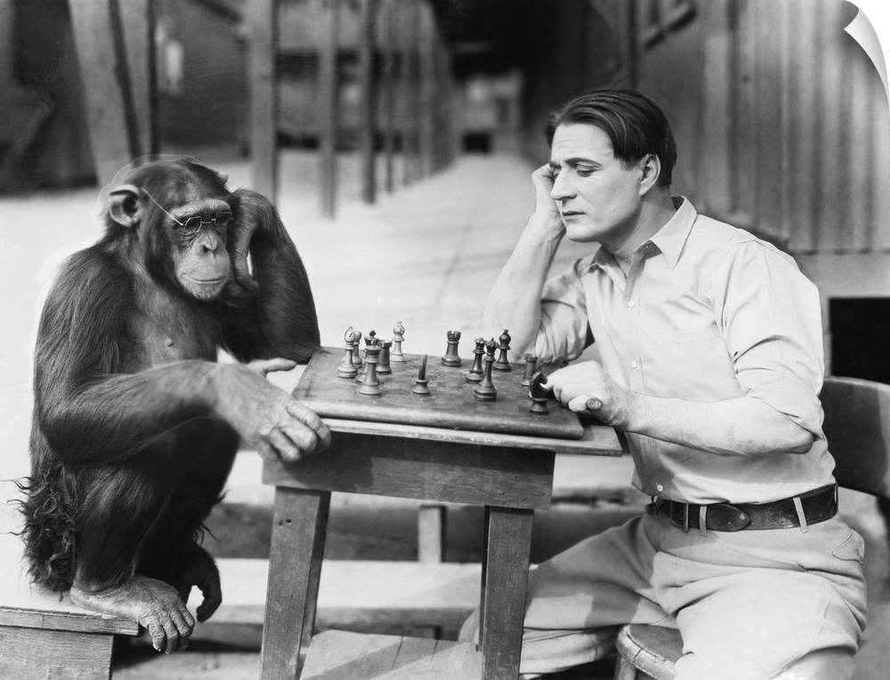 Man playing chess with monkey.