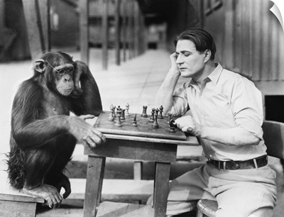 Man Playing Chess With Monkey
