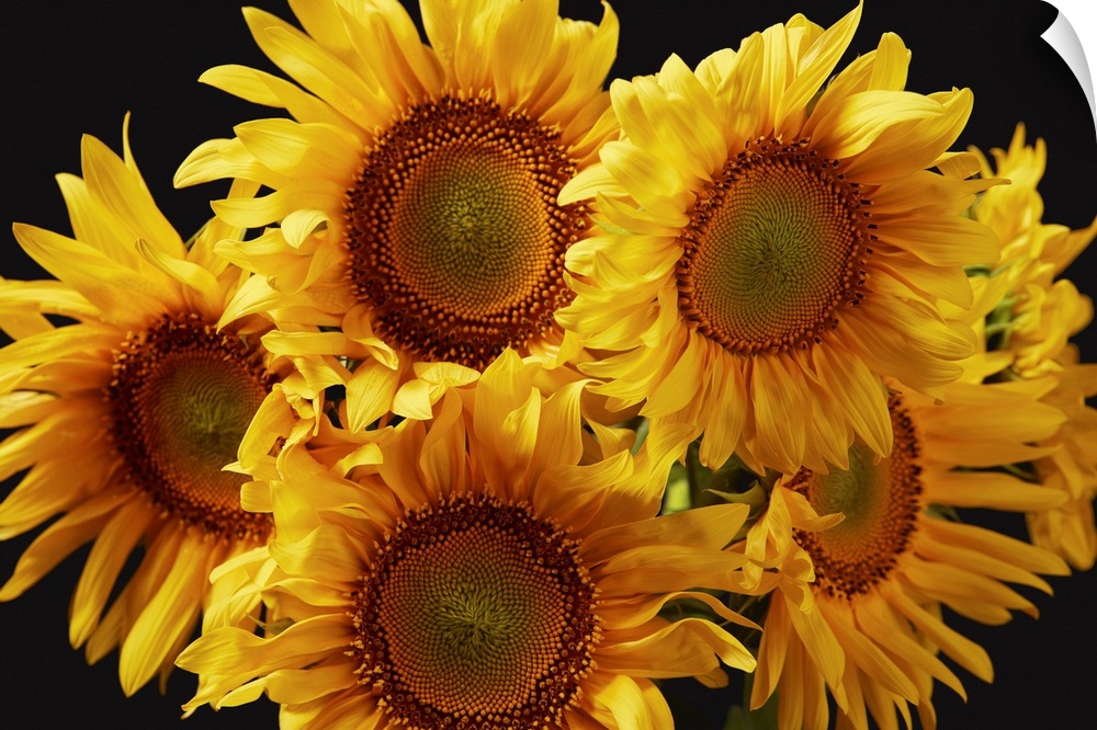 Natural Bouquet With Yellow Sunflowers