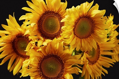 Natural Bouquet With Yellow Sunflowers