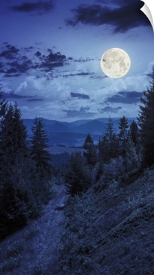 Night Walks In Mountain Forest Under Moon Light