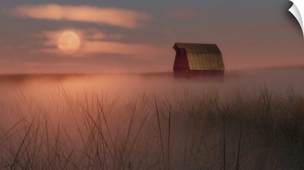 Old agricultural barn in a misty field at sunrise or sunset with the glow lighting up the low lying mist.