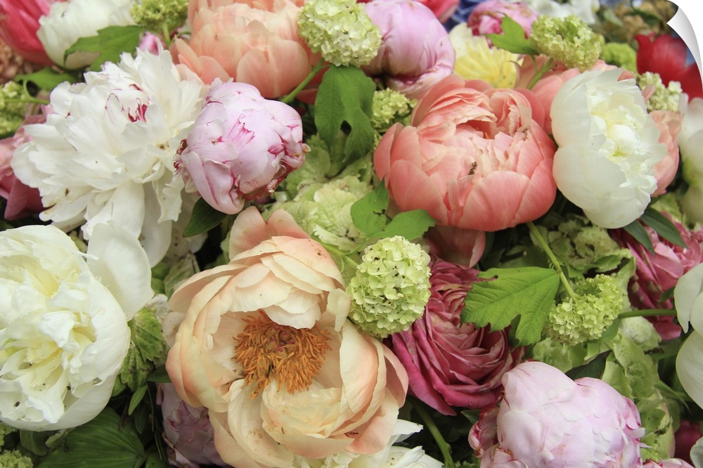 Peonies in various shades of pink and white in a floral wedding arrangement.